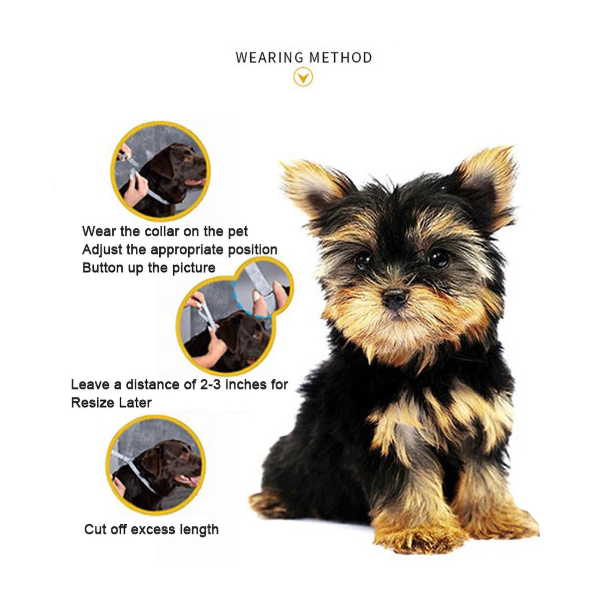 Anxiety Relief Collars for Dogs & Cats