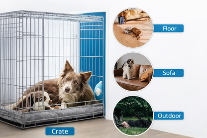 Ultra-Thickened Plush Orthopedic Sanctuary Bed