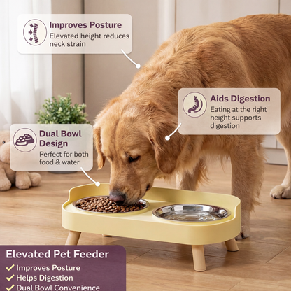 Colorful Elevated Pet Feeder: Dual Stainless Steel Bowls with Neck Support